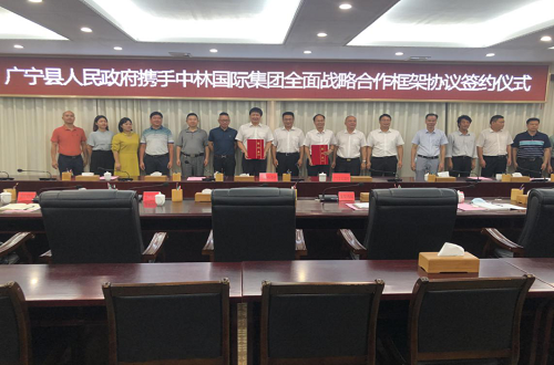 Zhonglin Joined Hands with Guangning to Create a 